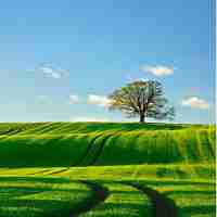 网‍站‍加​速‌工​具‌